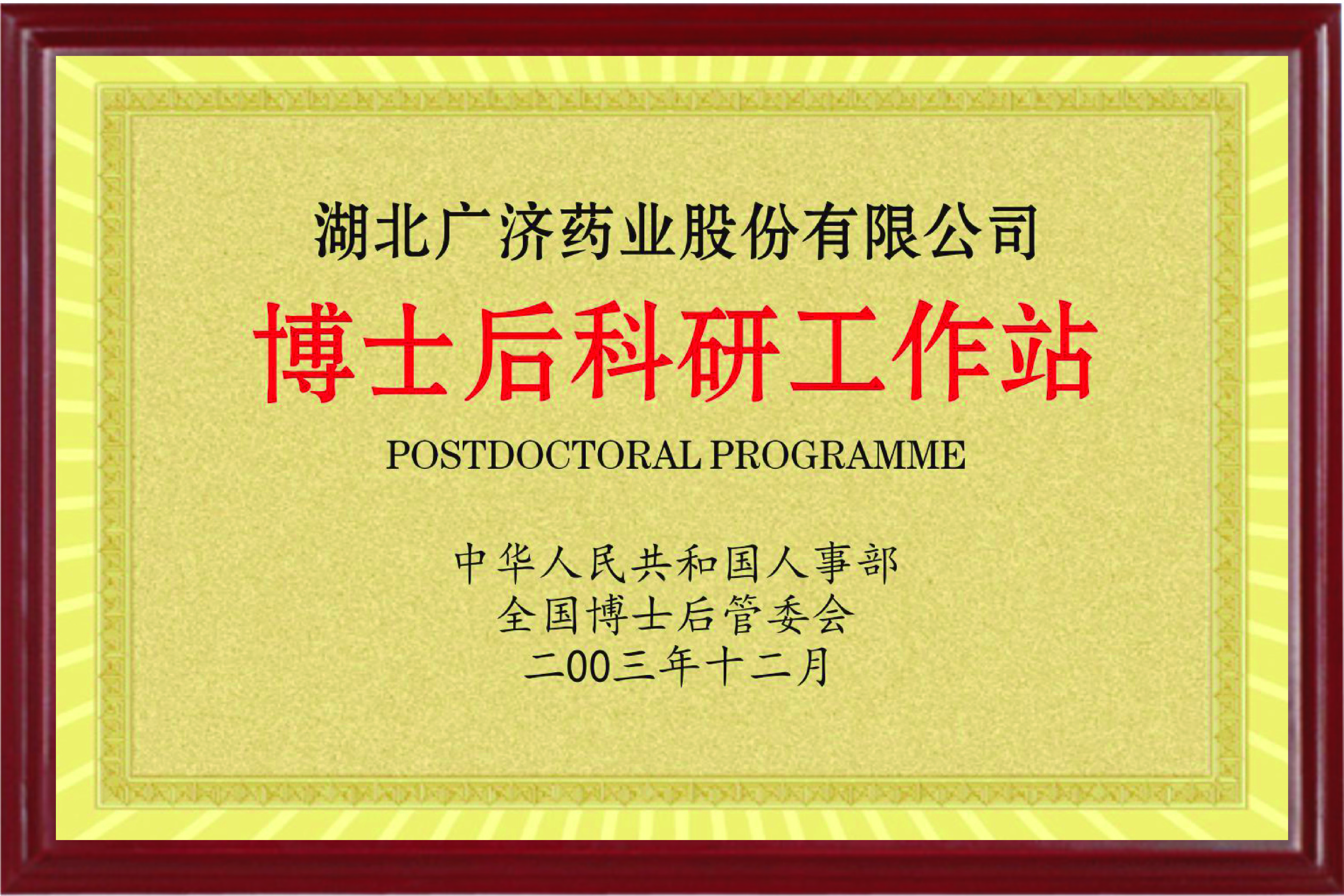 2025新澳2025原料网1688